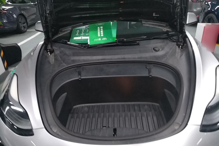 Tesla Model 3 2021 car image #20