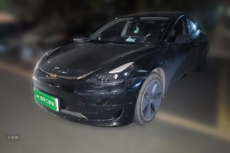Tesla Model 3 2021 immagine di auto #2