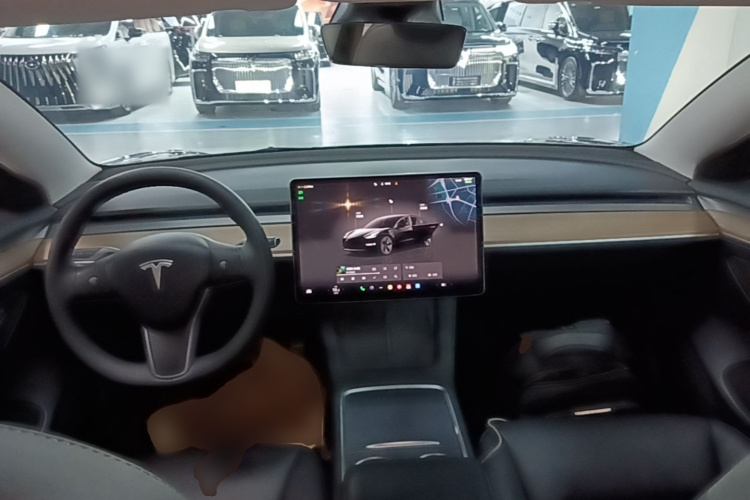 Tesla Model 3 2023 #10 Tesla Model 3 2023 immagine di auto #10
