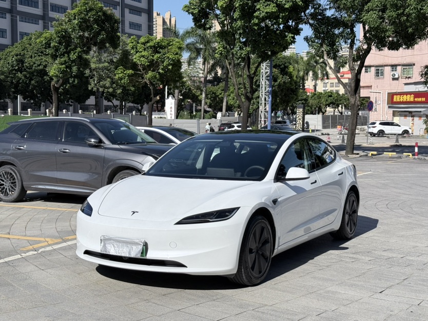 Tesla Model 3 2025 car image 