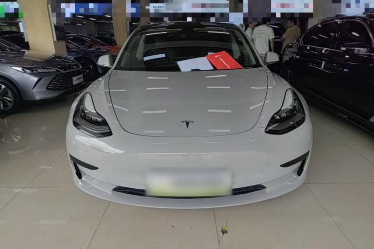 Tesla Model 3 2020 #3 Tesla Model 3 2020 car image #3