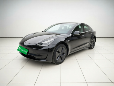 Tesla Model 3 2020 Tesla Model 3 2020 car image