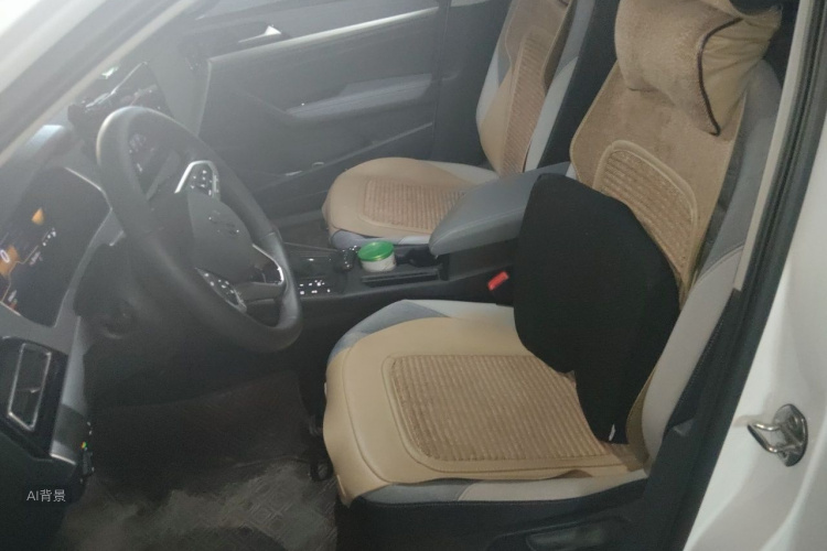 Volkswagen Lavida 2024 car image #17