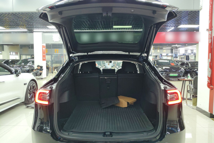 Tesla Model Y 2024 car image #19