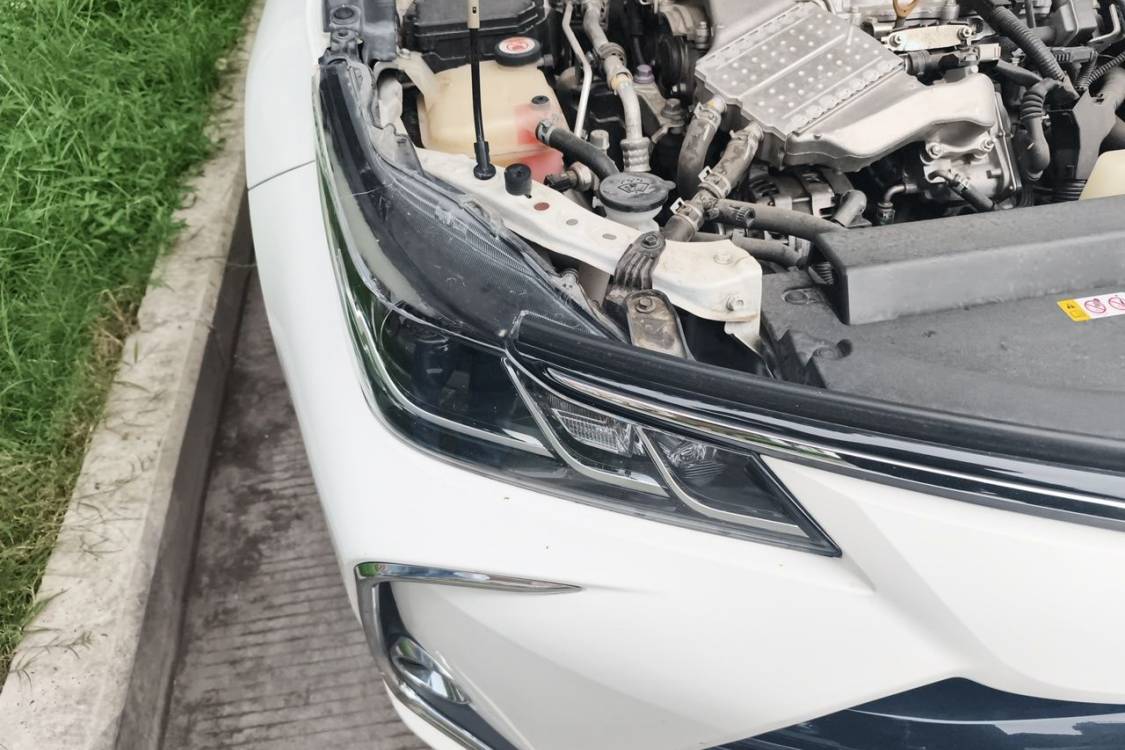 Toyota Corolla 2020 car image #7
