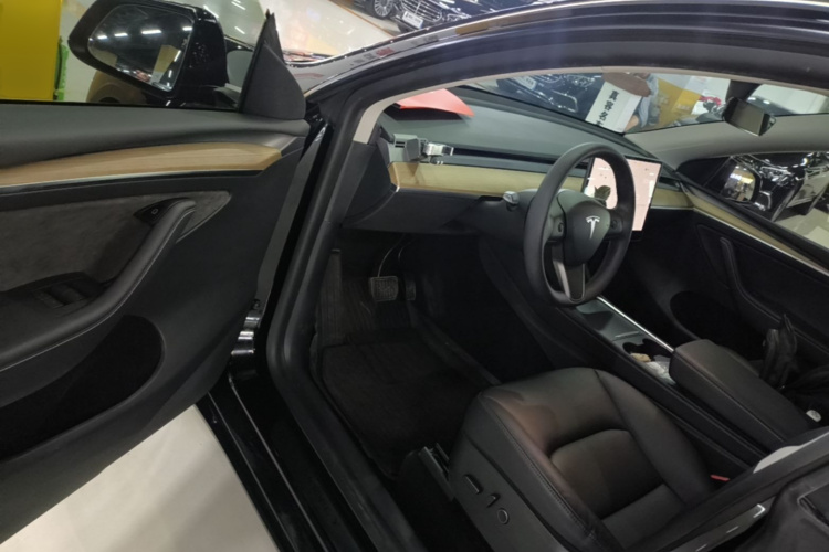 Tesla Model Y 2021 car image #16