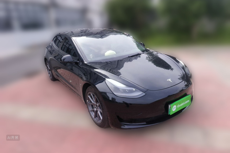 Tesla Model 3 2021 car image #4