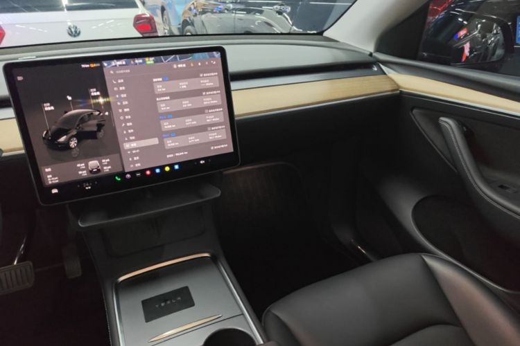 Tesla Model Y 2022 car image #13
