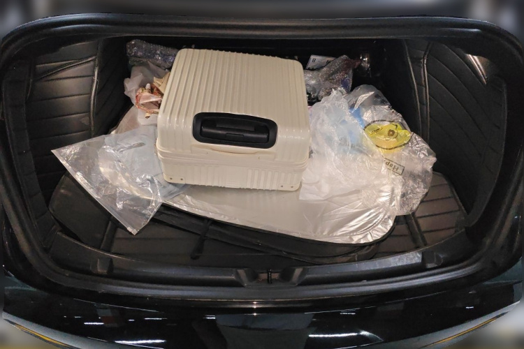 Tesla Model 3 2022 car image #17