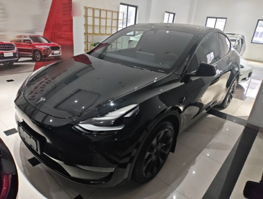 Tesla Model Y 2021 Tesla Model Y 2021 car image
