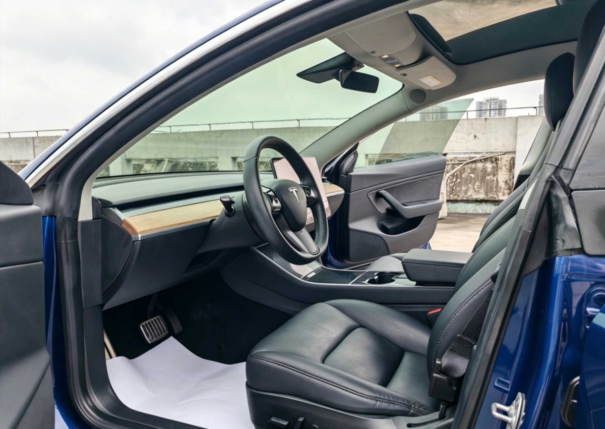 Tesla Model 3 (Imported) 2019 car image #8