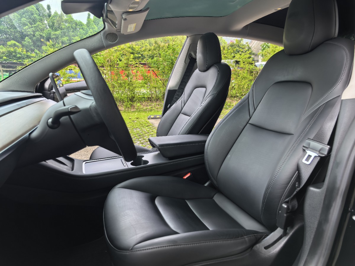Tesla Model 3 2023 car image #5