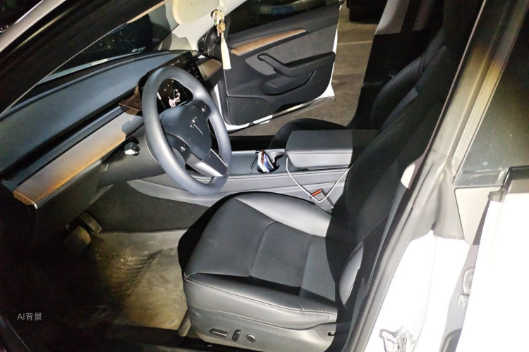 Tesla Model 3 2021 car image #17