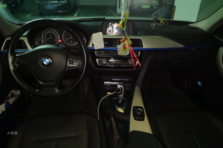 BMW 3 Series 2016 car image #11
