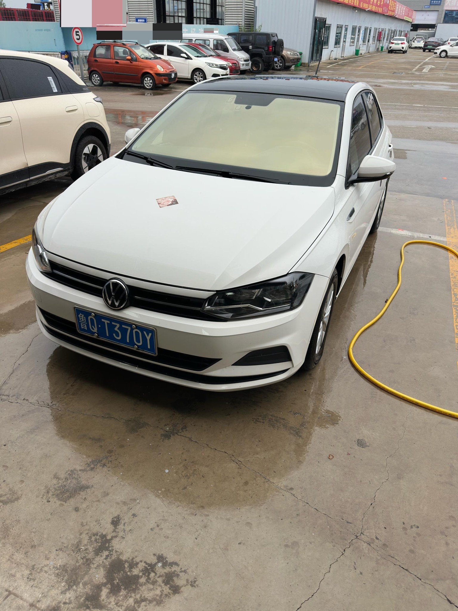 Volkswagen Polo 2021 immagine di auto 