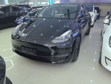 Tesla Model Y 2023 Tesla Model Y 2023 car image