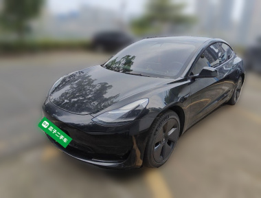 Tesla Model 3 2021 Tesla Model 3 2021 car image
