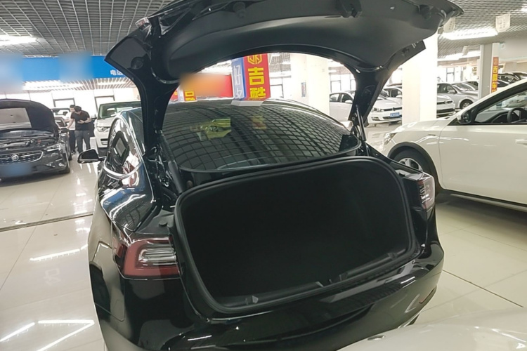 Tesla Model 3 2021 #19 Tesla Model 3 2021 immagine di auto #19