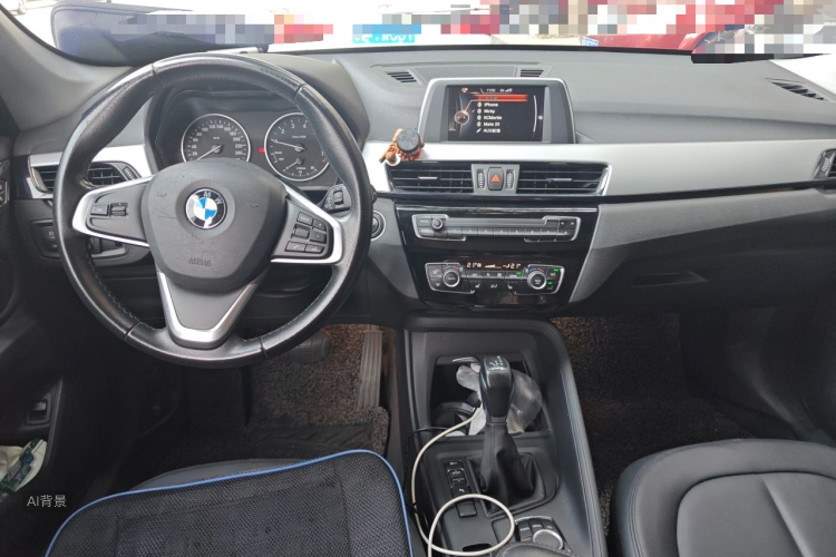 BMW X1 2017 car image #11