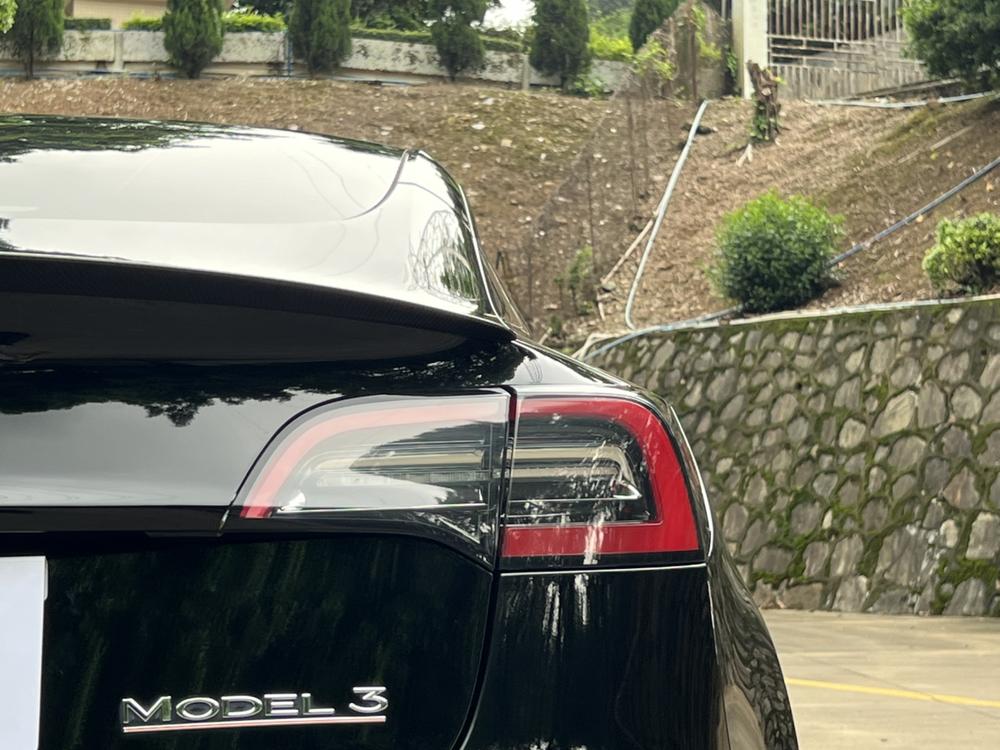 Tesla Model 3 2022 #8 Tesla Model 3 2022 car image #8