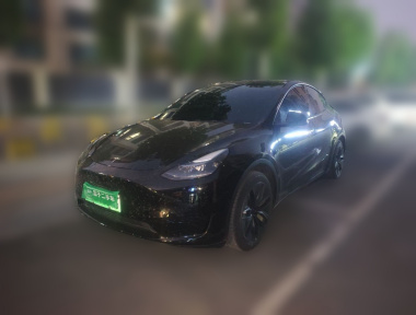 Tesla Model Y 2022 Tesla Model Y 2022 car image