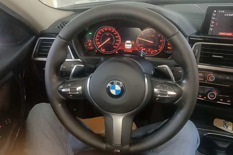 BMW 3 Series 2018 car image #11