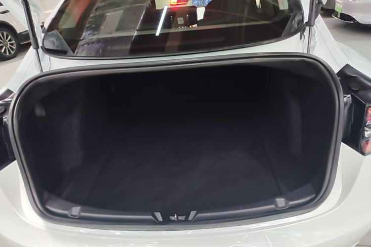 Tesla Model 3 2020 immagine di auto #19