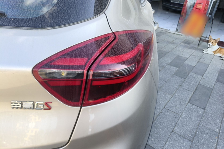 GEELY Emgrand GS 2020 car image #8