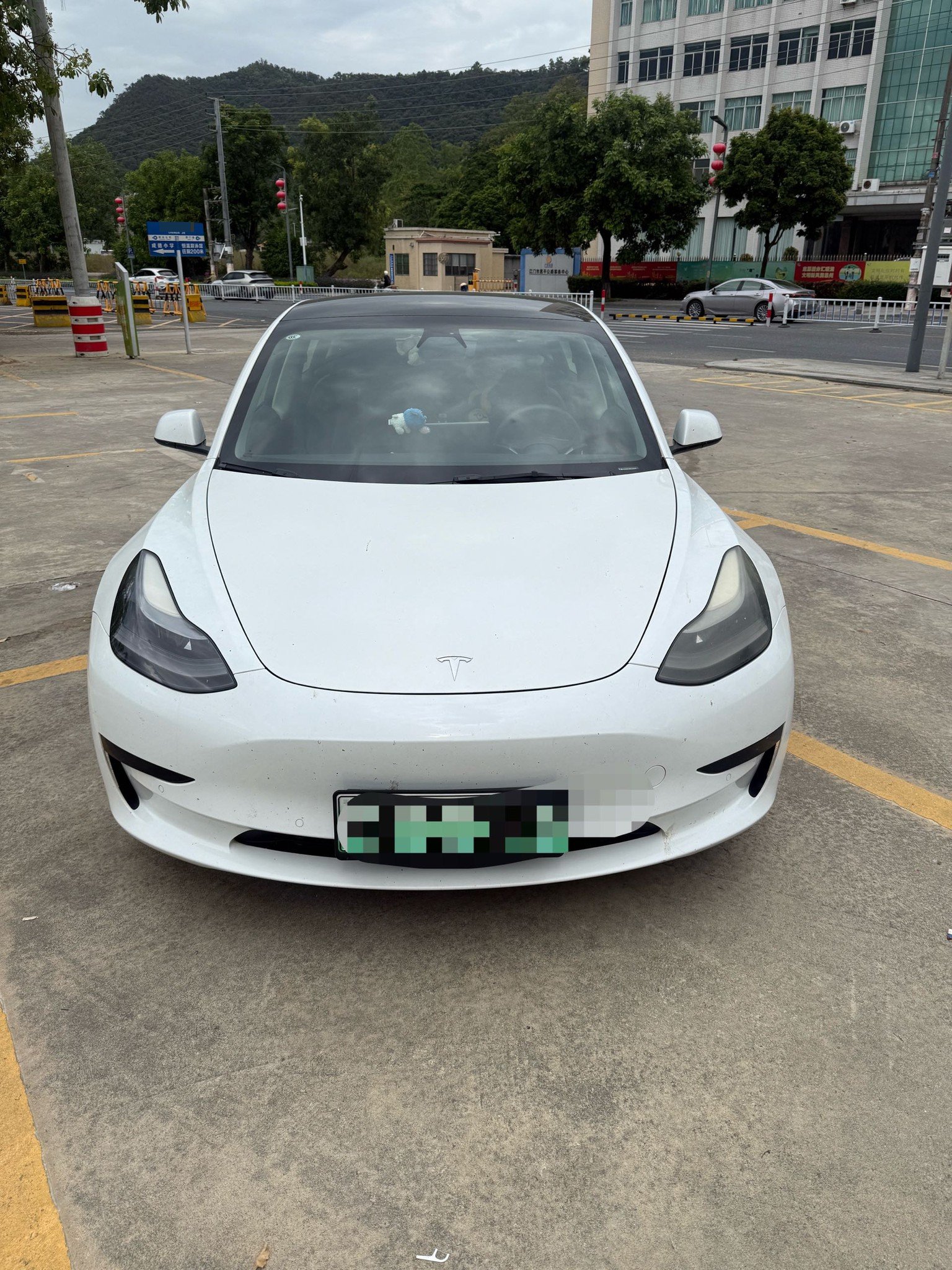 Tesla Model 3 2021 car image #8