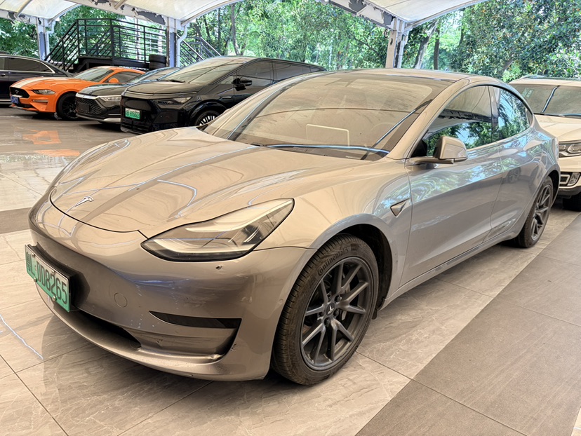 Tesla Model 3 2020 car image 