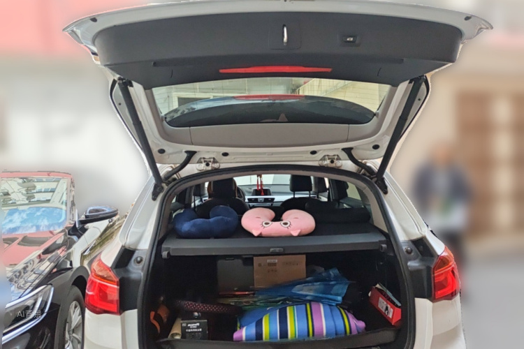 BMW X1 2017 imagen de coche #21