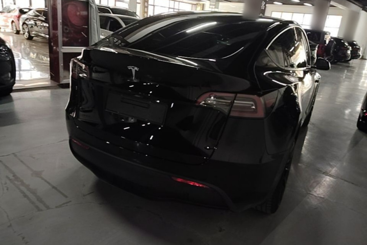 Tesla Model Y 2023 #7 Tesla Model Y 2023 car image #7