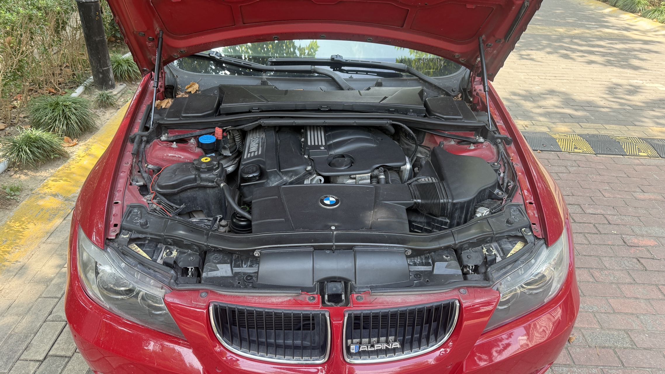 BMW 3 Series 2008 immagine di auto #8