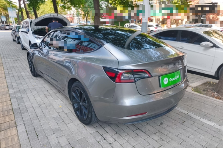 Tesla Model 3 2021 car image #5