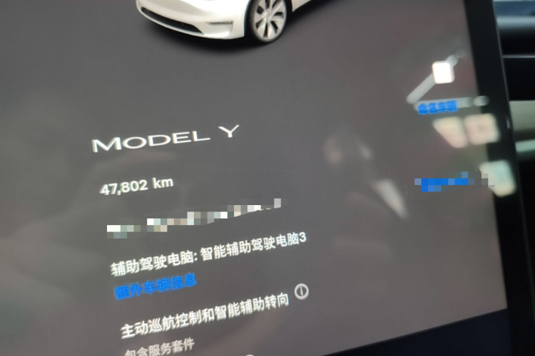 Tesla Model Y 2023 #12 Tesla Model Y 2023 car image #12