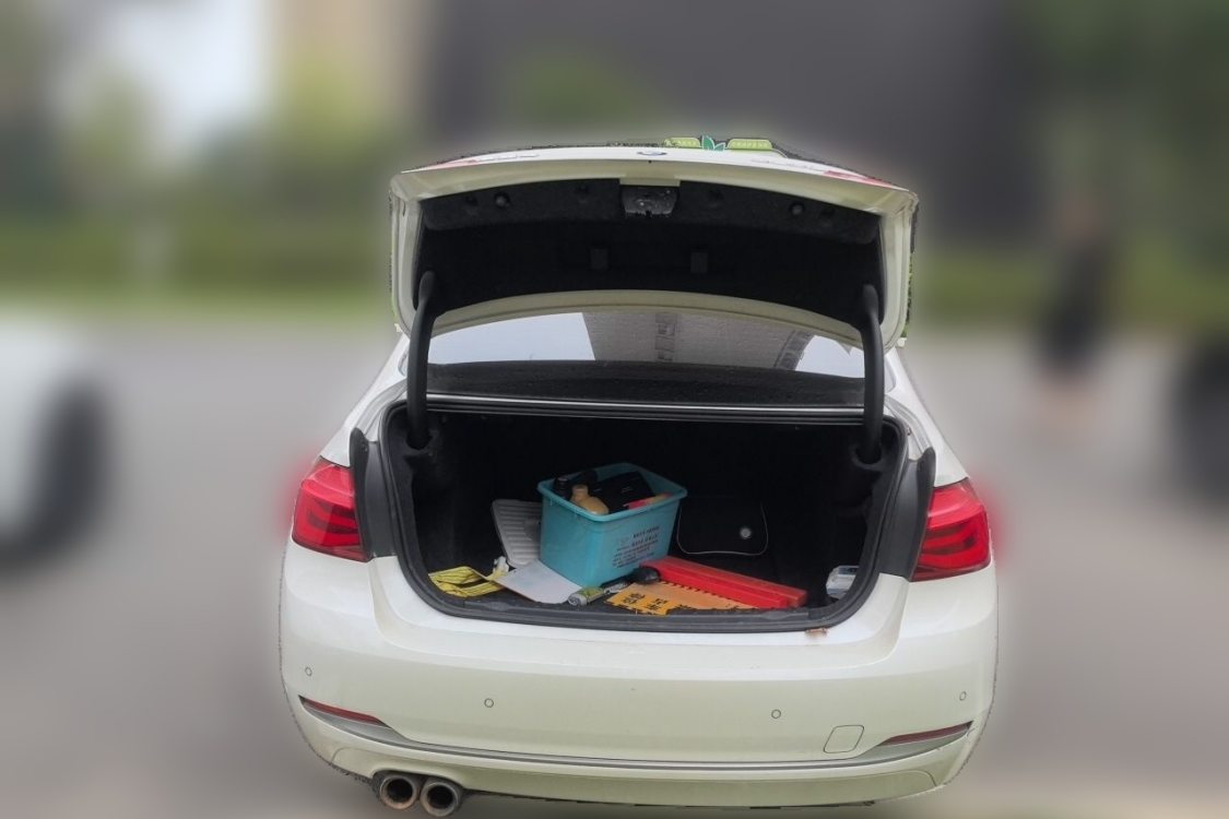 BMW 3 Series 2017 #8 BMW 3 Series 2017 imagen de coche #8