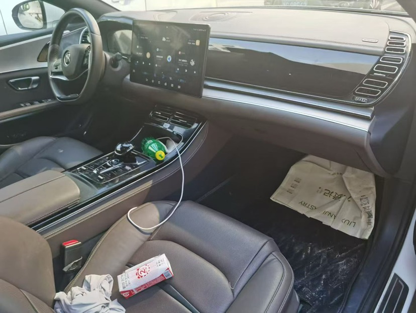 BYD Han 2022 immagine di auto #5