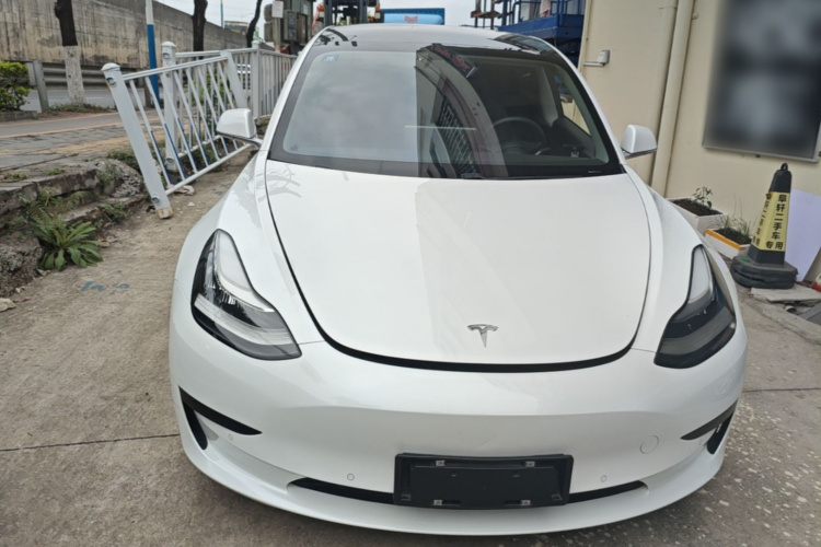 Tesla Model 3 2019 #3 Tesla Model 3 2019 car image #3