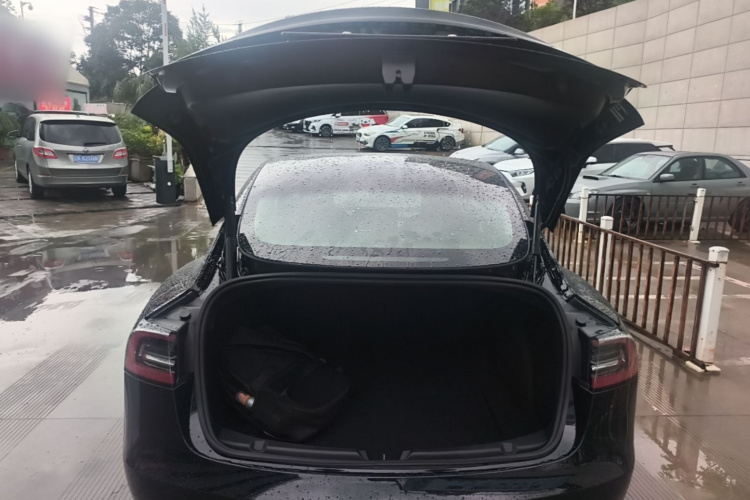 Tesla Model 3 2023 immagine di auto #19