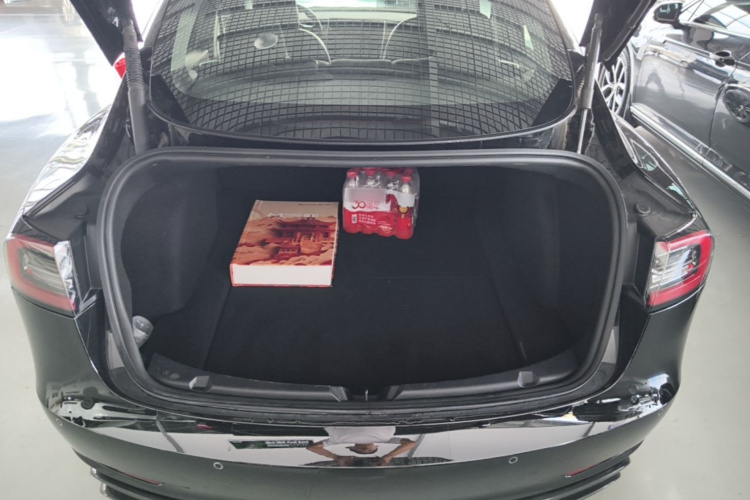 Tesla Model 3 2021 #19 Tesla Model 3 2021 immagine di auto #19
