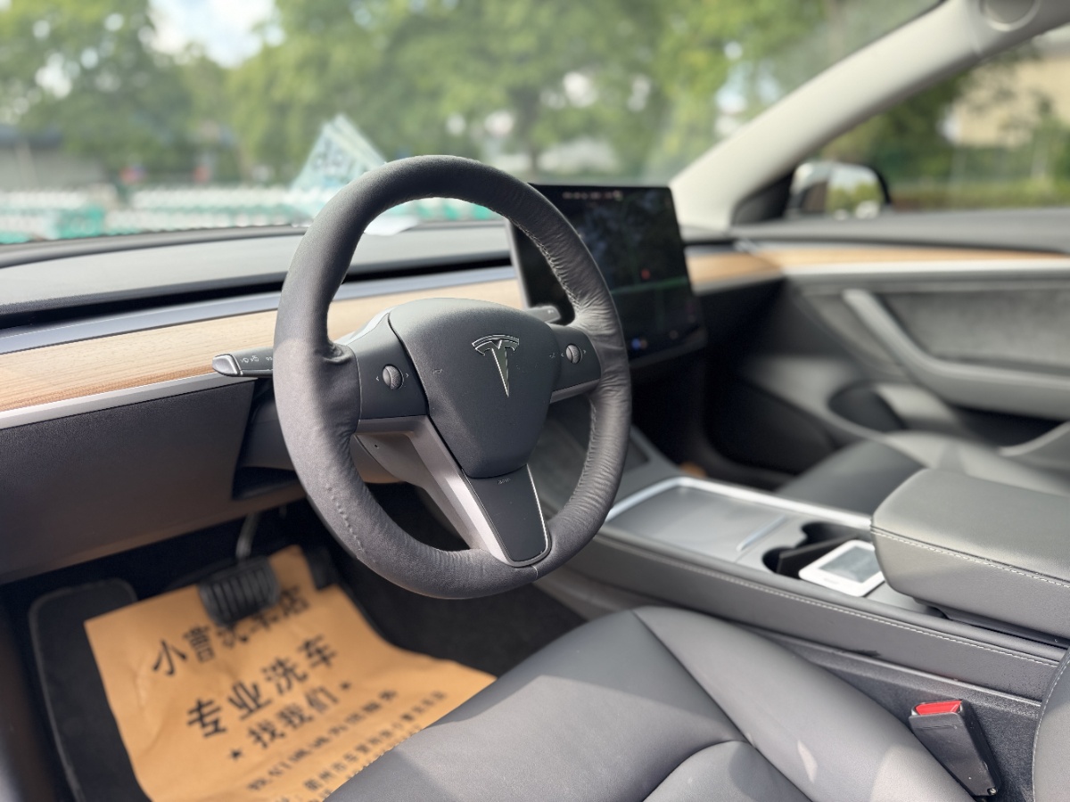 Tesla Model 3 2021 #5 Tesla Model 3 2021 car image #5