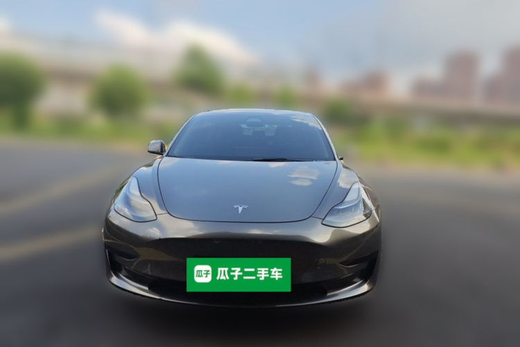 Tesla Model 3 2021 #3 Tesla Model 3 2021 car image #3