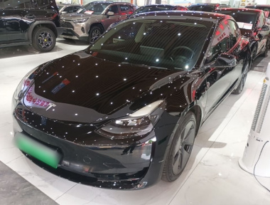 Tesla Model 3 2021 Tesla Model 3 2021 car image