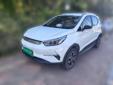 BYD Yuan Pro 2021 car image 
