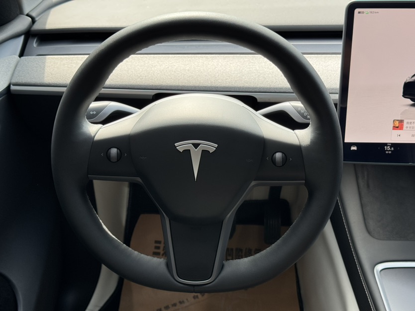 Tesla Model Y 2024 car image #4