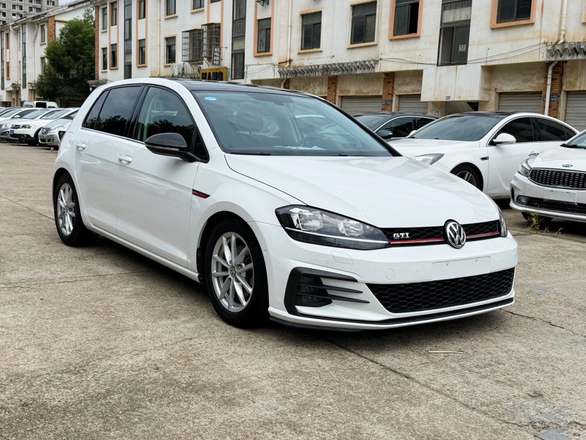 Volkswagen Golf 2019 Volkswagen Golf 2019 car image