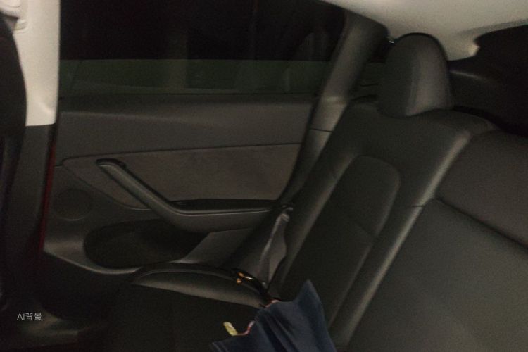 Tesla Model Y 2021 car image #19