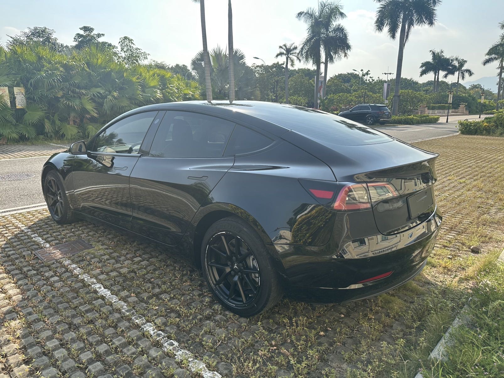 Tesla Model 3 2021 #9 Tesla Model 3 2021 car image #9