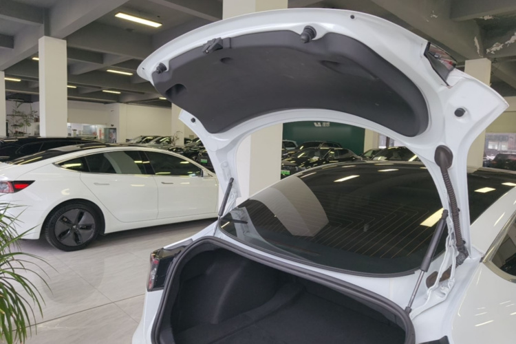 Tesla Model 3 2020 #19 Tesla Model 3 2020 car image #19