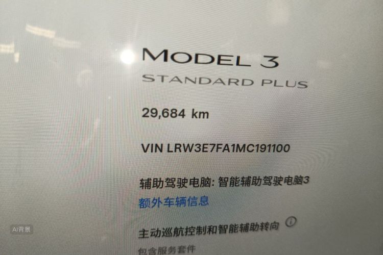 Tesla Model 3 2021 car image #14